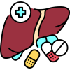 liver